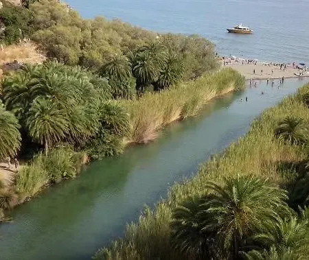 Diogenis 罗希姆诺