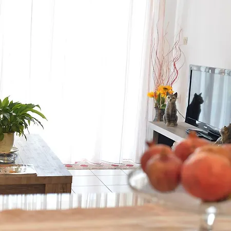 Appartement Diogenis *